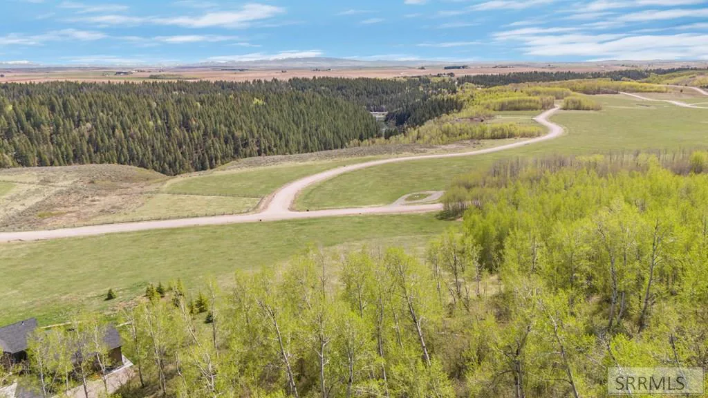 Aerial of the area in spring, rolling plains and aspens.